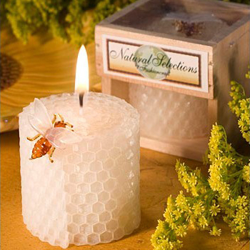 อุปกรณ์งานเลี้ยงวันเกิดเด็กเที - Supplies Of Candle บทวิจารณ์และราคา